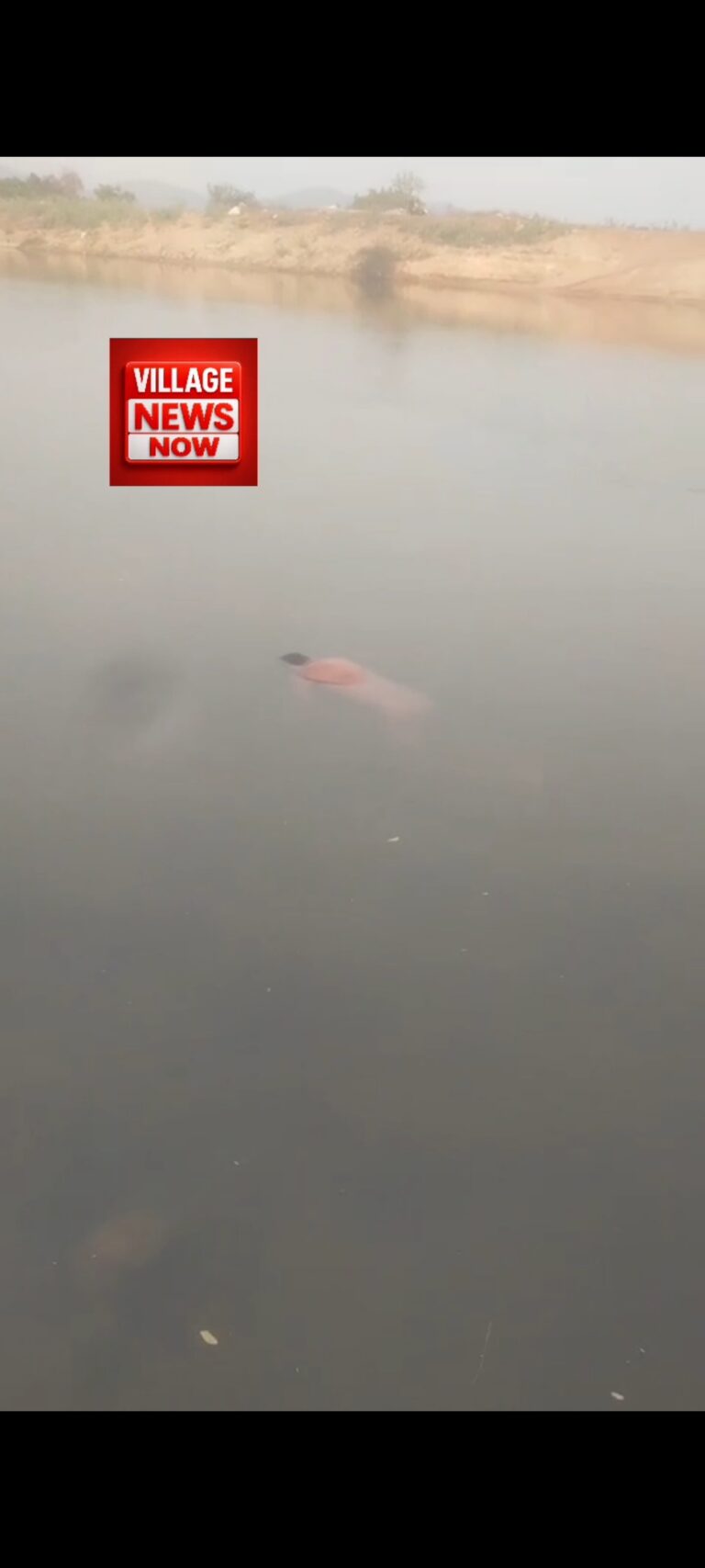 Screenshot_2026-02-14-21-22-34-395_com.miui.mediaviewer